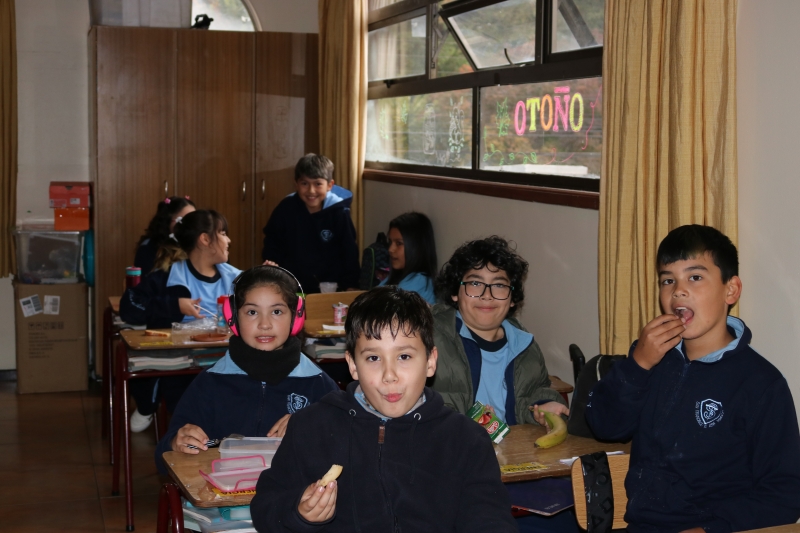 Día de la Actividad Física